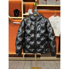 Louis Vuitton Down Jackets